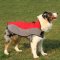 Nylon Dog Coat for Australian Shepherd, Waterproof and Warm