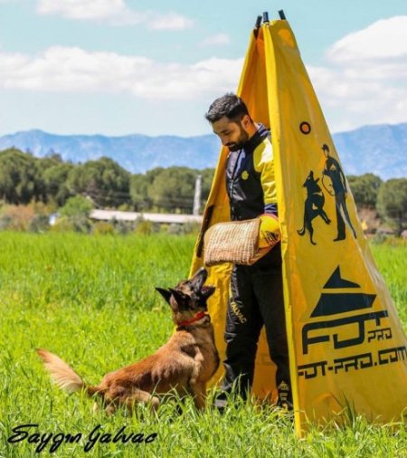 IGP Blind for Dog Training and Professional Sports