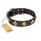 Black Leather Dog Collar "Fancy-Schmancy" by FDT Artisan