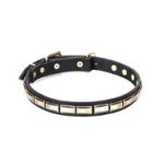 Leather Dog Collar Brass Fittings "Wealth Effulgence" by Artisan
