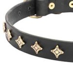 Leather Dog Collar of Narrow Width, "Stars Gem"