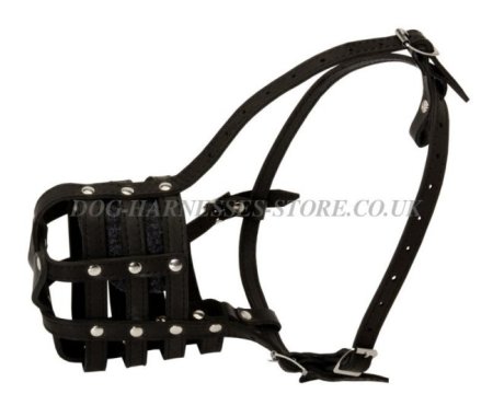 Bestseller! Leather Muzzle for Doberman Walking and Training