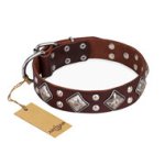Brown Leather Dog Collar Artisan "King of Grace" with Diamonds