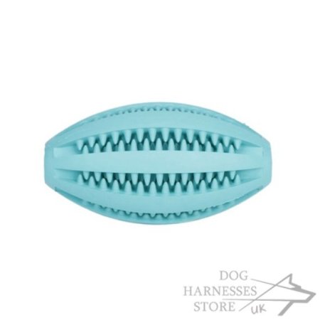 Dog Toy Dental Health "Denta Fun Rugby Ball"