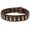 Trendy Dog Collar of Quality Leather with Brass Plates