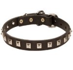Small Leather Dog Collar with Square Studs of Caterpillar Design