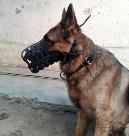 German Shepherd Muzzle Leather Super Ventilated for Daily Use