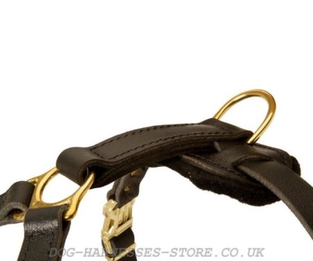 Leonberger Dog Harness of Leather for Secure Control