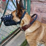 Leather Dog Muzzle for Every Breed, Best for Everyday Use_3