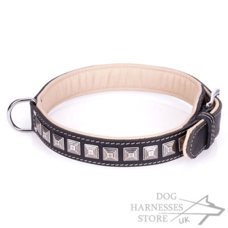 padded leather dog harness