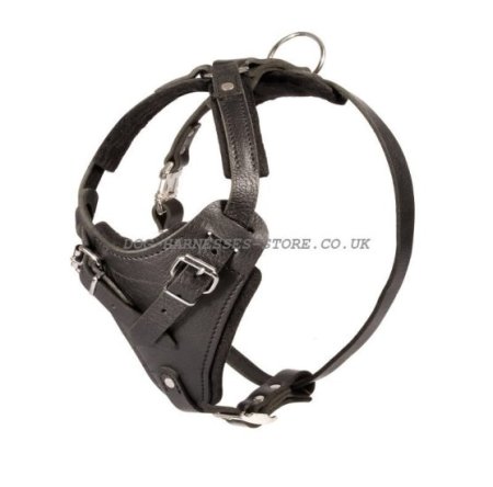 Leather Dog Harness for French Bulldog Control