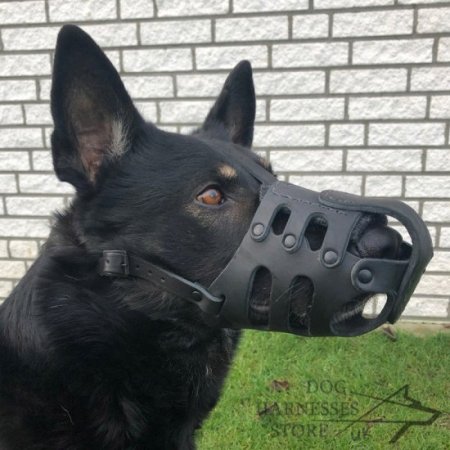 Anti-Bark Dog Muzzle of Leather for Canines with Long Snout