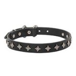 "Northern Stars" Narrow Width Dog Collar of Genuine Leather