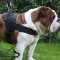 Bestseller! Old English Bulldog Harness UK Nylon Multifunctional
