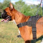 Bestseller! Dog Harness for German Boxer, Worldwide Shipping!