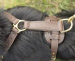 Strong Dog Harness for German Shepherd, Handmade of Leather
