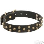 Fashion Dog Collar of Brass Studded Design, NEW!