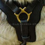 Padded Leather Dog Harness for Malamute, Strong UK