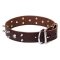 Rockstar Dog Collar, Natural Leather with Skulls and Spikes