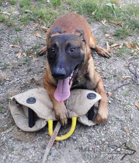 Puppy Training Pad Jute, Dog Dummy for Basic Bite Training