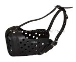 Boerboel Muzzle of Durable Leather for Agitation Training_2