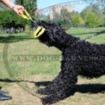 French Linen Bite Tug with Handles for Black Russian Terrier