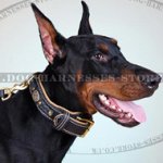 Designer Dog Collar with Padding for Noble Doberman