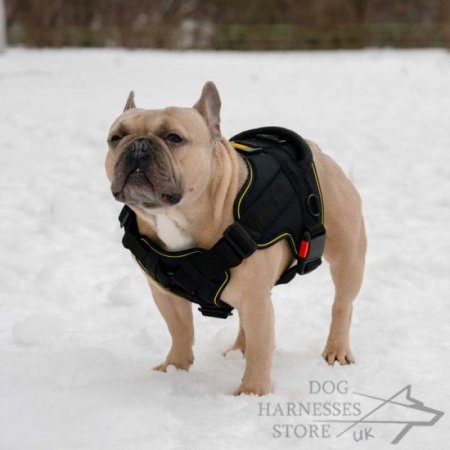 Dog Harness Sport and Training Made of Nylon, Bestseller in UK!