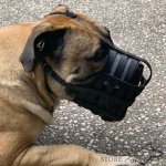 Leather Dog Muzzle for Every Breed, Best for Everyday Use_5
