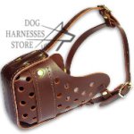 Best Leather Dog Muzzle for Large Breeds Training and Walks