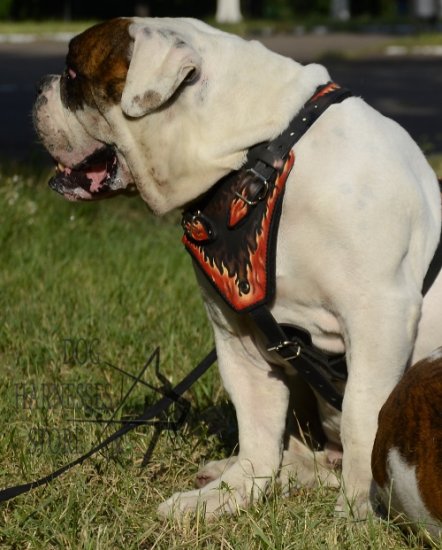 Padded Dog Harness for American Bulldog Flames Painted Leather