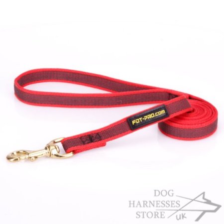 Quality Nylon Dog Leash with Nonslip Rubber Lines, Red Color
