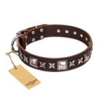 Brown Leather Dog Collar FDT Artisan "Perfect Impression"