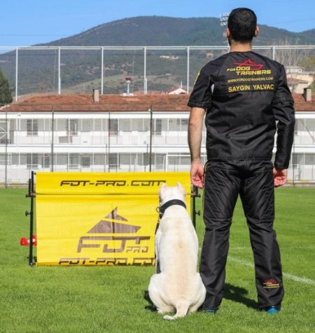 Secure Dog Training Protective Suit from Dirt and Scratches