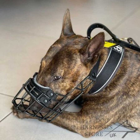 Basket Dog Muzzle Covered by Black Rubber, UK