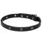 Flowery Studded Thin Leather Dog Collar - New Trendy Accessory