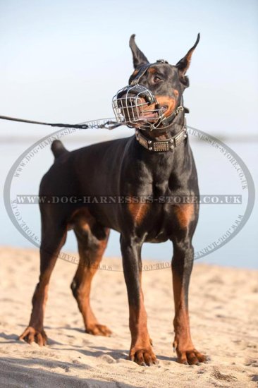 Dog Leash UK with Scissor-type Snap Hook & Braids for Doberman