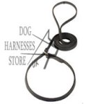 Fast Walking Combo Leather Dog Lead and Choke Collar UK