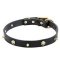 Skull Dog Collar UK Narrow Leather, Brass Spikes, Pirate Style