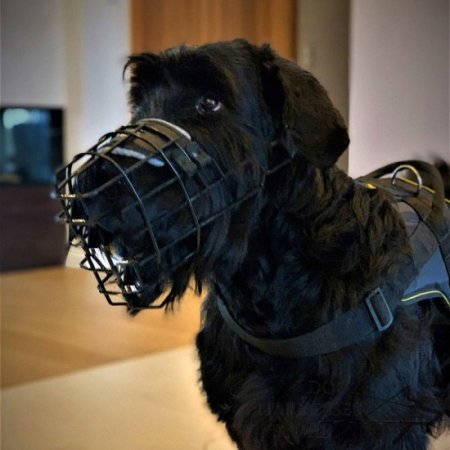 Basket Dog Muzzle Covered by Black Rubber, UK