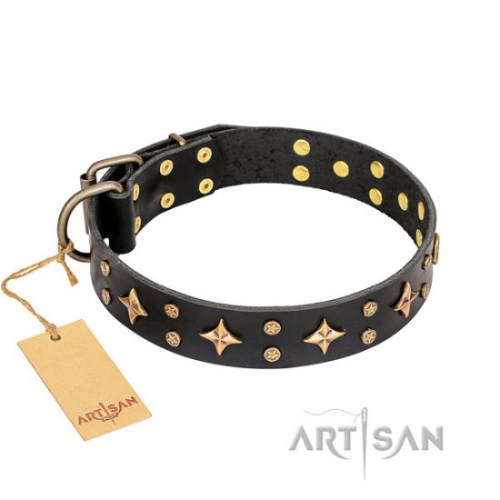 "A La Mode" Black Leather Dog Collar with Stars, Studs Artisan