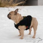 Dog Harness for French Bulldog, Use in Any Weather!_1