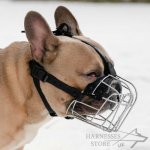 Wire Basket Dog Muzzle For Small Breeds_4
