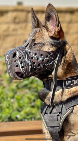 Fancy Leather Dog Muzzle with "Barbed Wire" Painting