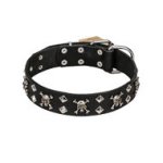 Artisan Dog Collar "Fancy Rock-n-Roll Style" Skulls, Studs
