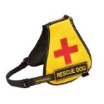 Best Service Dog Vest of Nylon with Identification Patches