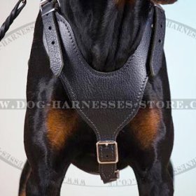 Doberman Harness of Smooth Design for Walks & Training