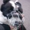 Karelian Bear Dog Lightweight Wire Basket Dog Muzzle, Bestseller