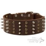 Extra Wide Leather Dog Collar with Nickel Spikes and Brass Studs