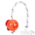 Big Hard Plastic Dog Ball Top-Matic with MAXI Power-Clip